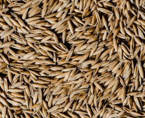 wheat bulk agri-bulk